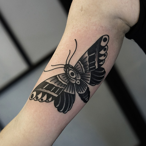 tattoo old school borboleta