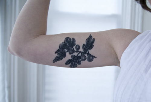 figueira-tatuagem-de-arvore-ideias