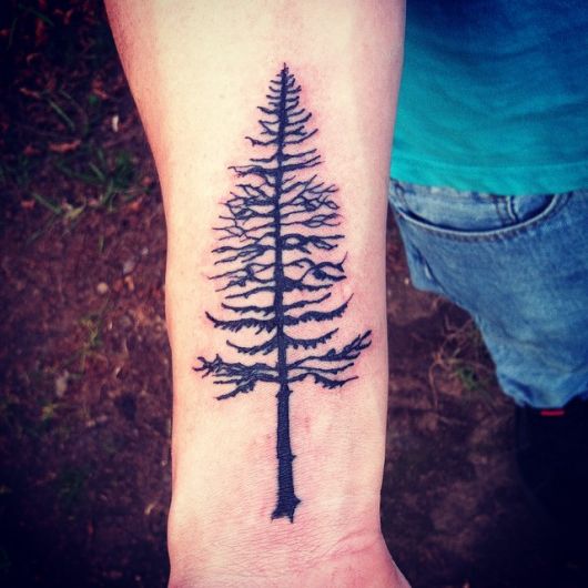 tatuagem-de-arvore-pinheiro
