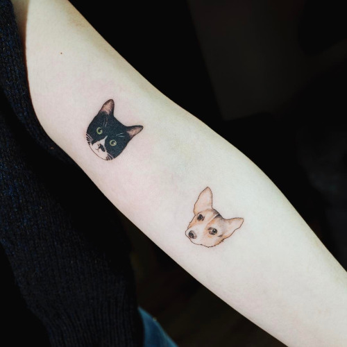 tatuagem de gato com cachorro