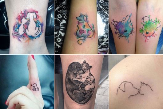 Tatuagem de Gato Significados, Dicas de Artistas e + de