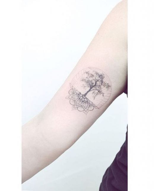 tatuagem árvore da vida com mandala