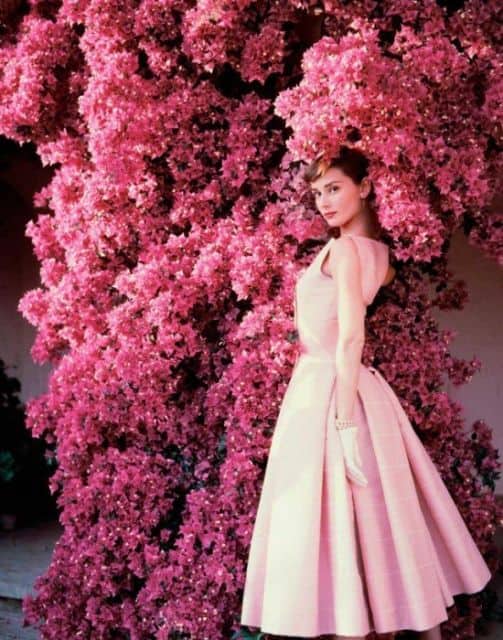 Haudrey Hepburn de vestido rosa godê, em arvore com flores cor de rosa.