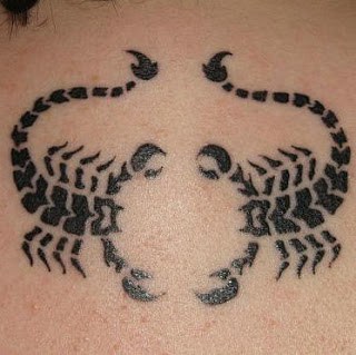 tatuagens de dois escorpiões