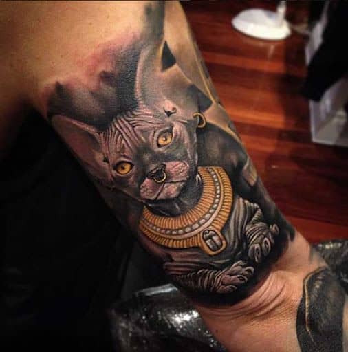 Tatuagem de um gato sphynx com adornos em seu corpo como piercings e um colar. 