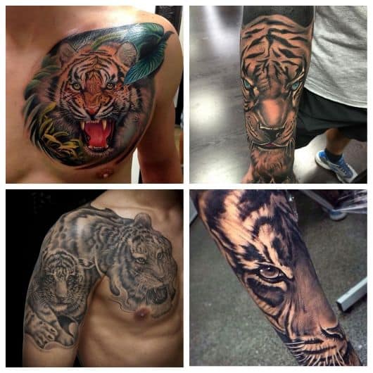 Tatuagem de Tigre: Significado, cuidados e 80 ideias incríveis