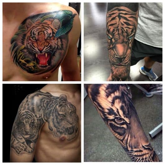 tatuagem de tigre