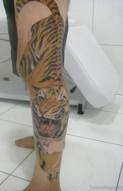 tatuagem de tigre significado cuidados e 80 ideias incríveis