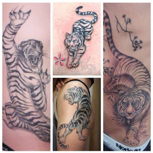 tatuagem de tigre na barriga