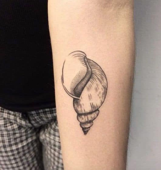 tatuagem de concha no braço masculina