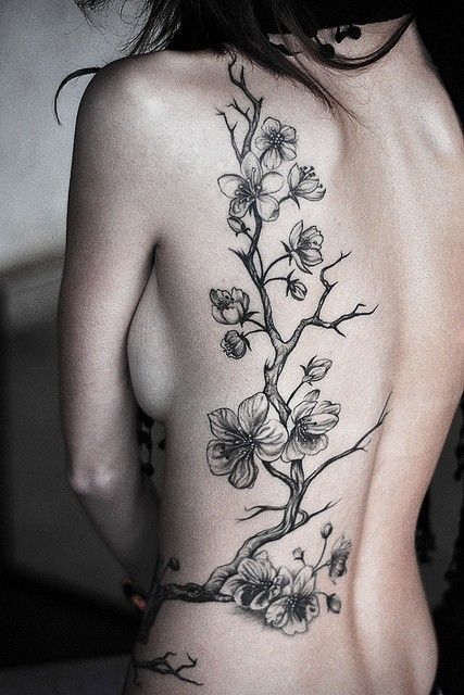 tatuagem flor de cerejeira