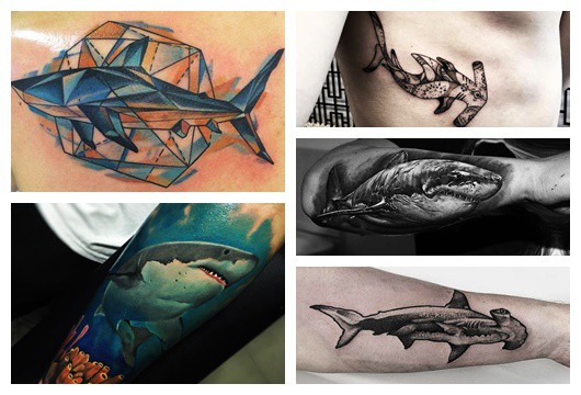 Montagem com cinco fotos diferentes de tatuagem de tubarão