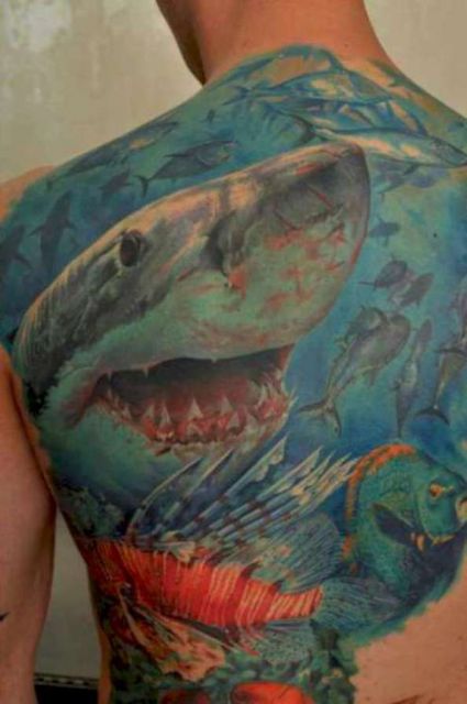 Tatuagem cobrindo as costas inteiras de um homem. Nela há um intimador tubarão branco com muitas cicatrizes enquanto nada pelo fundo do mar repleto de outros peixes. 
