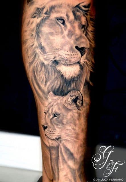 Leão e leoa juntos no braço