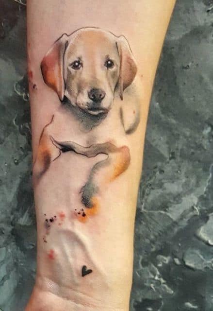 tatuagem labrador braço