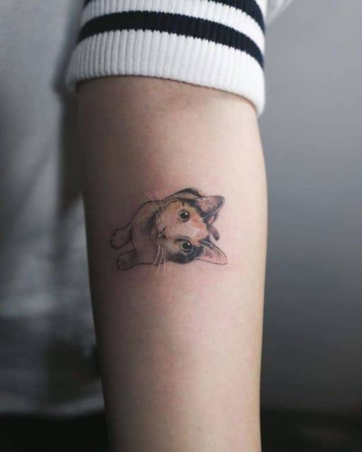 tatuagem gato