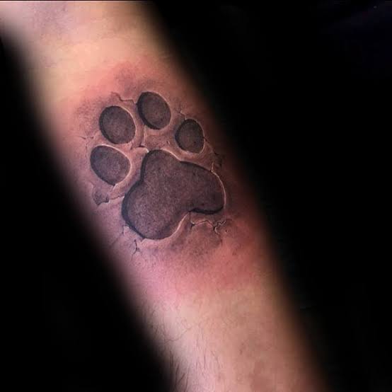 tatuagem de pata de cachorro no braço realista