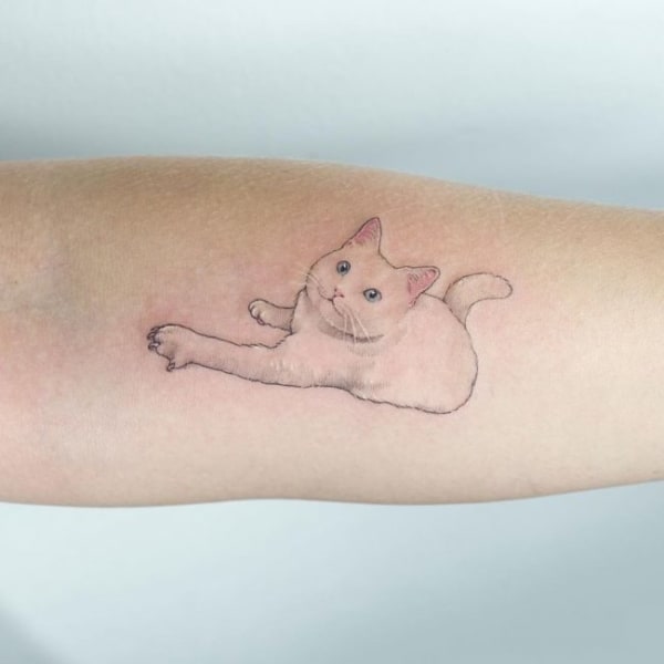 tatuagem no bíceps feminina delicada de gato