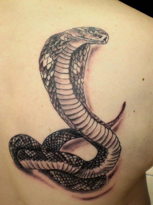 linda tatuagem de serpente