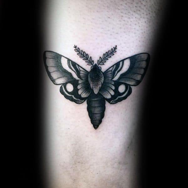 ideias de Tatuagem de Mariposa