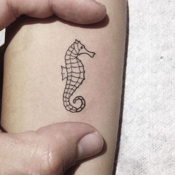 tatuagem cavalo marinho pequena