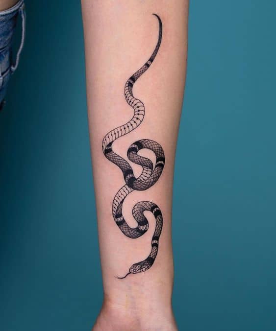 tatuagem de serpente