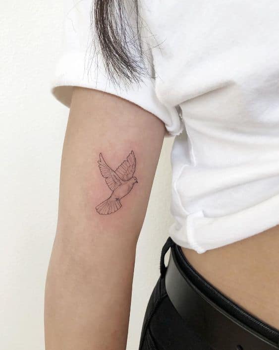 significado de tatuagem de pomba