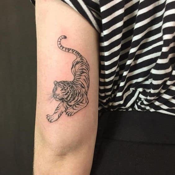 tatuagem de tigre no braco