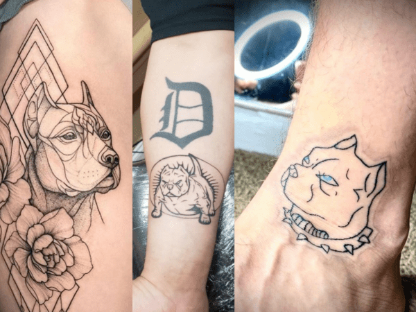 tatuagem de pitbull