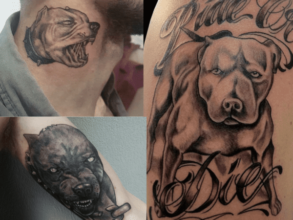 tatuagem de pitbull