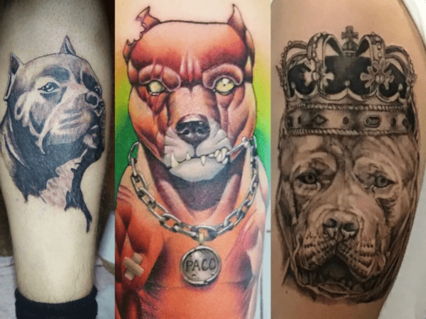 Tatuagem de Pitbull【2022】» +40 Ideias ANIMAIS para escolher!