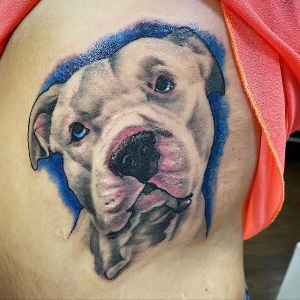 ideia tatuagem de pitbull