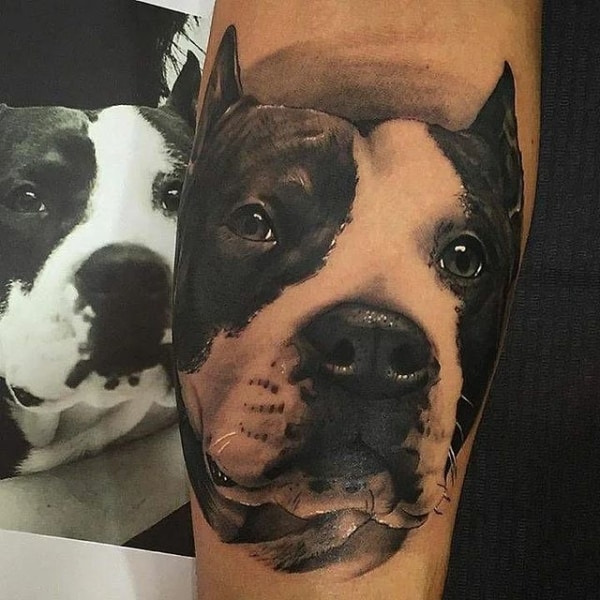 ideias de tatuagem de pitbull