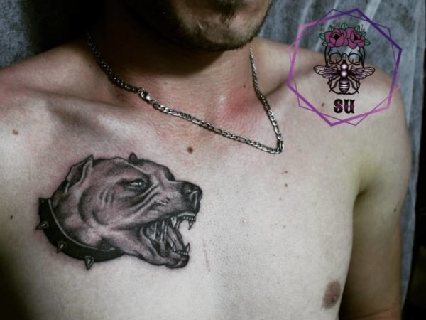 tatuagem de PITBULL no peito