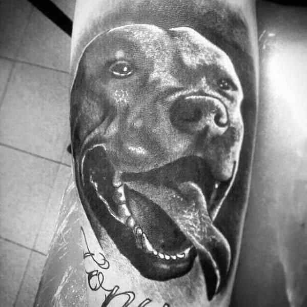 tatuagem de pitbull ideias