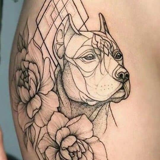 tatuagem de pitbull linda