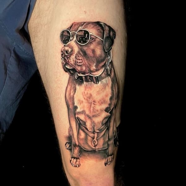 tatuagem de pitbull modelos 1