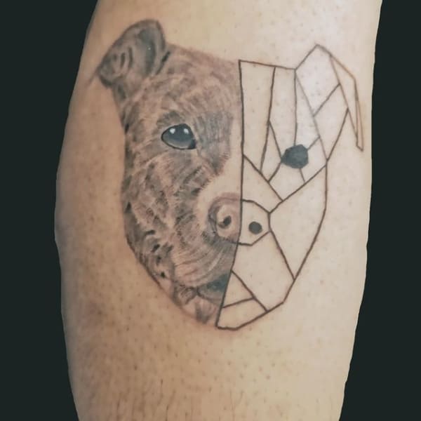tatuagem de pitbull tipos2
