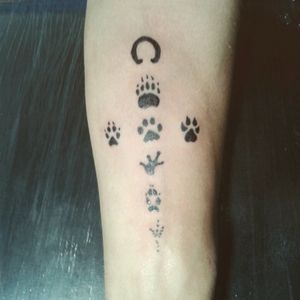 tatuagem de veterinario simbolos