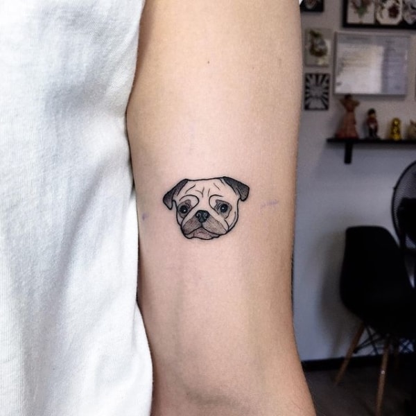 Tatuagem de Pug