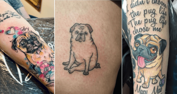 modelo de tatuagem de Pug