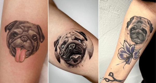 tatuagem de Pug