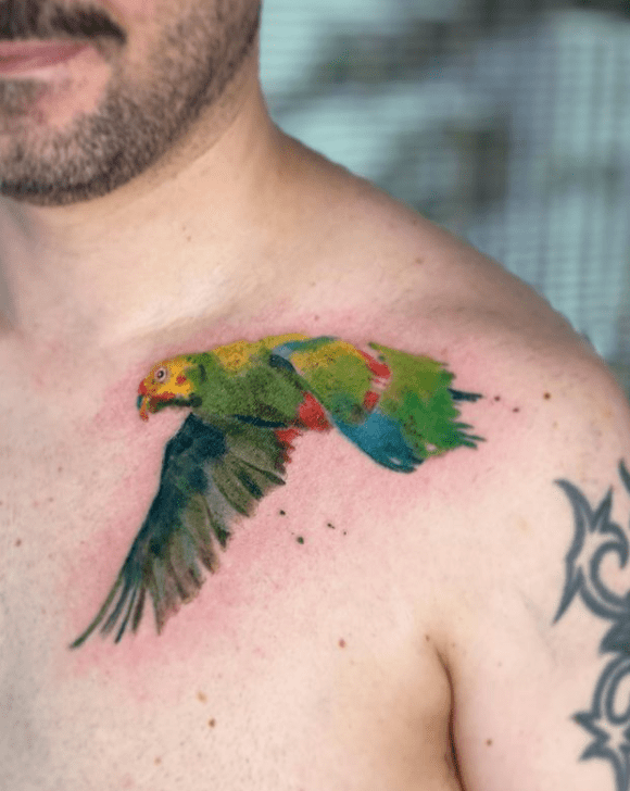 tattoo papagaio