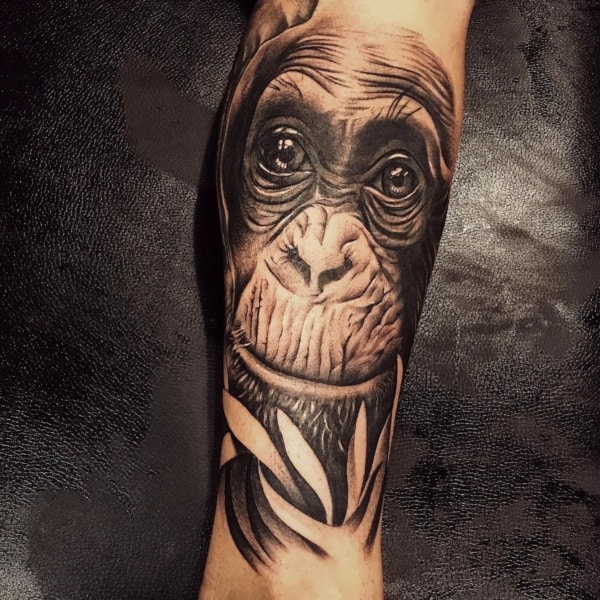 Bonita tatuagem de gorila