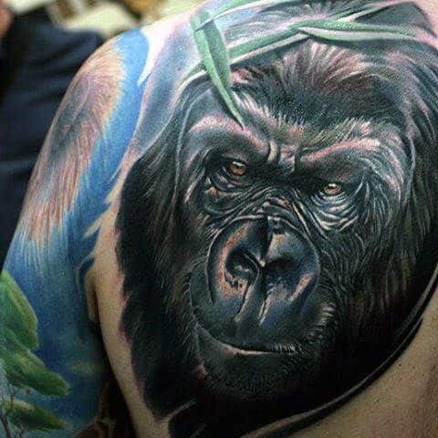 Gorila nas costas