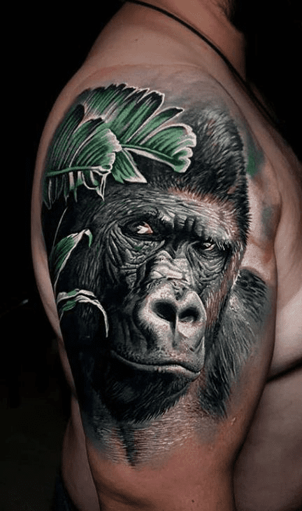 Tatuagem de Gorila realista
