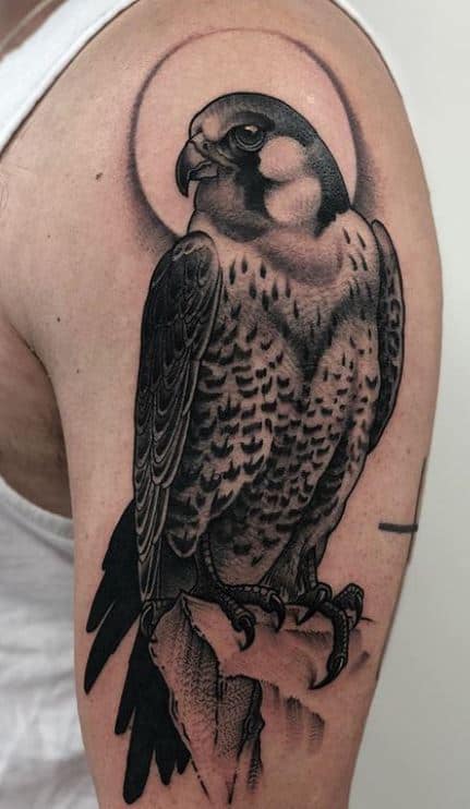 tatuagem Blackwork aguia