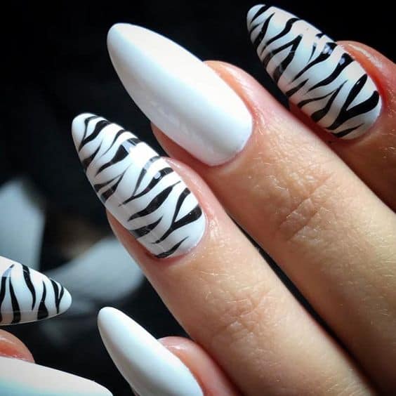 1 unhas de zebra Pinterest
