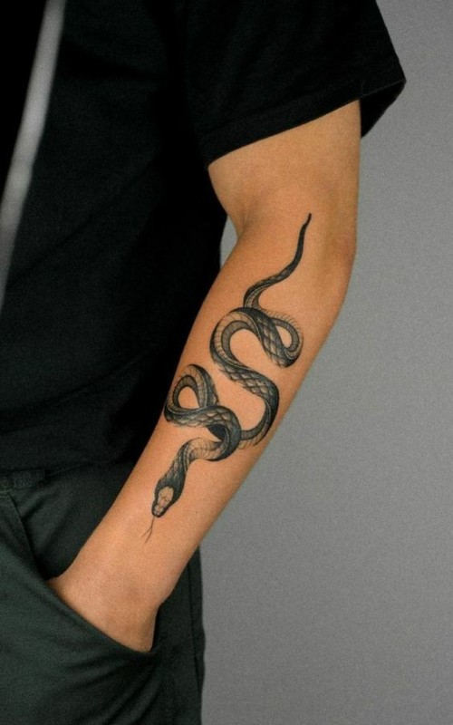 12 tatuagem de cobra masculina Pinterest