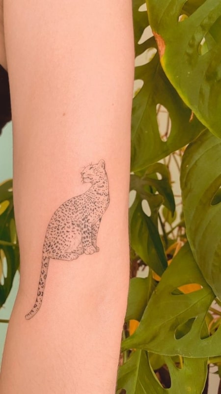 12 tatuagem de onca no braco Pinterest